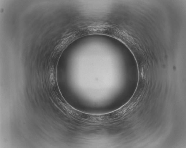 X0000071931396200607071211