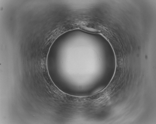 X0000071931397200607071211