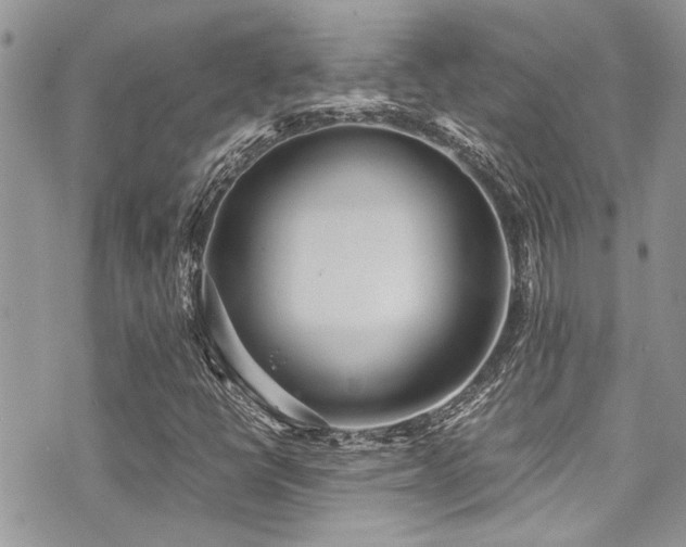 X0000071931398200607071211