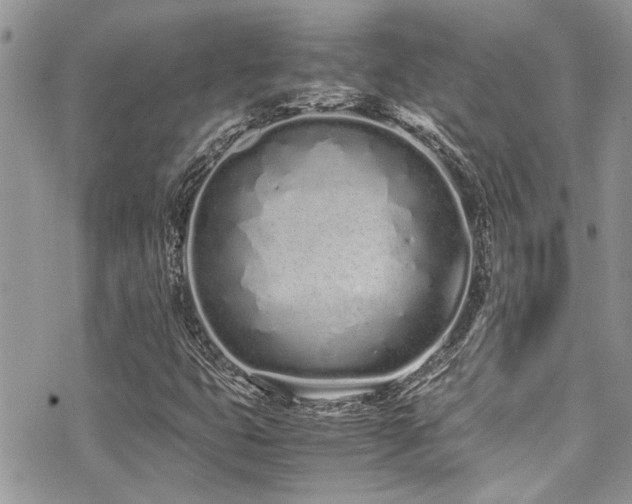 X0000071931399200607071211