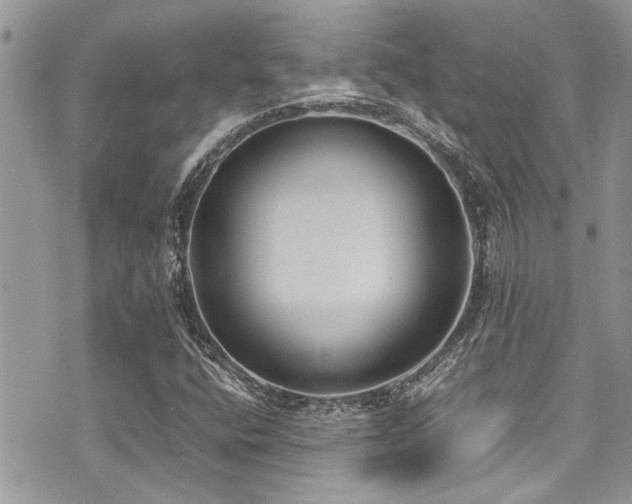 X0000071931400200607071211