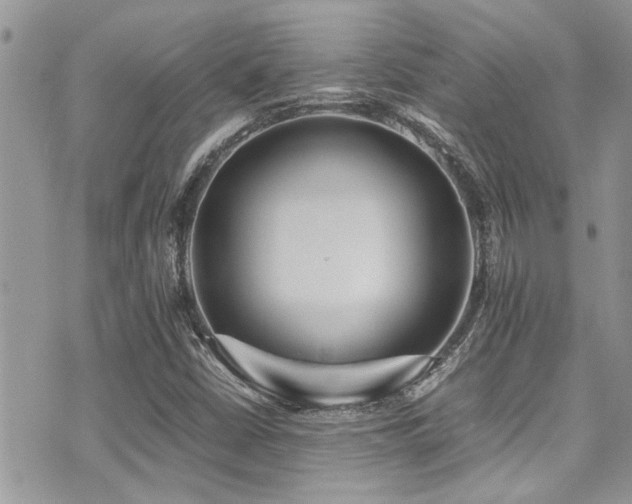 X0000071931402200607071211