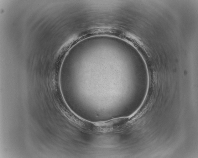 X0000071931403200607071211