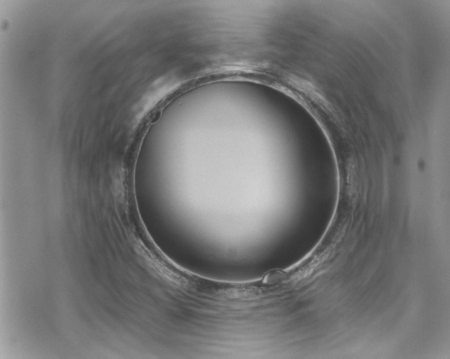 X0000071931404200607071211