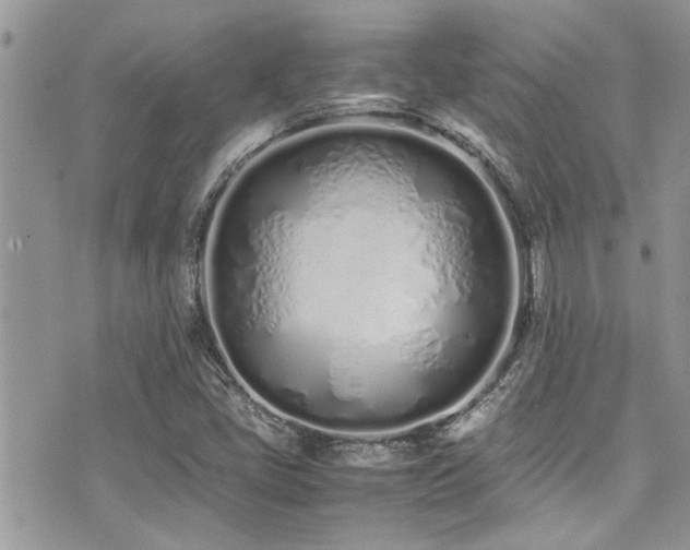 X0000071931405200607071211