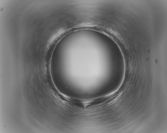 X0000071931406200607071211