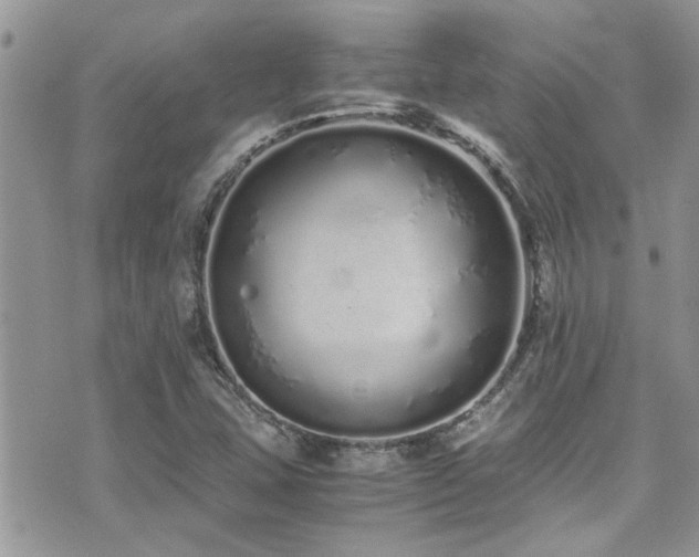 X0000071931407200607071211