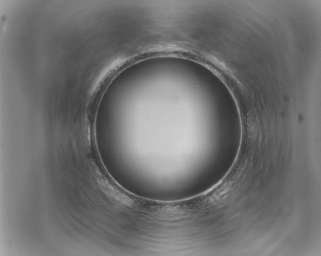 X0000071931408200607071211