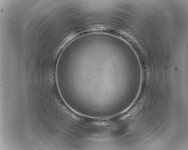 X0000071931409200607071211