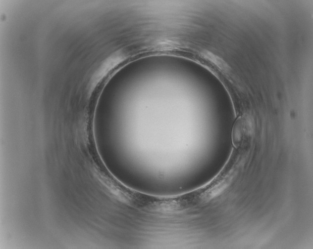 X0000071931410200607071211