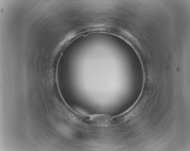 X0000071931411200607071211