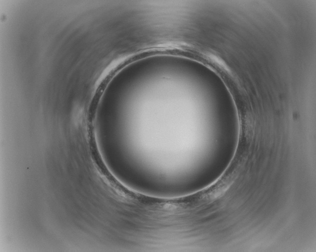 X0000071931412200607071211