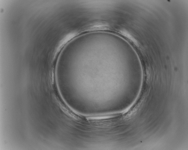 X0000071931413200607071211