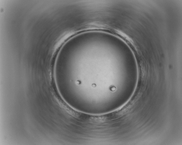 X0000071931415200607071211