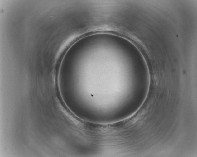 X0000071931416200607071211