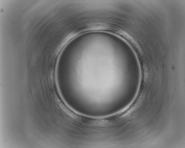 X0000071931417200607071211