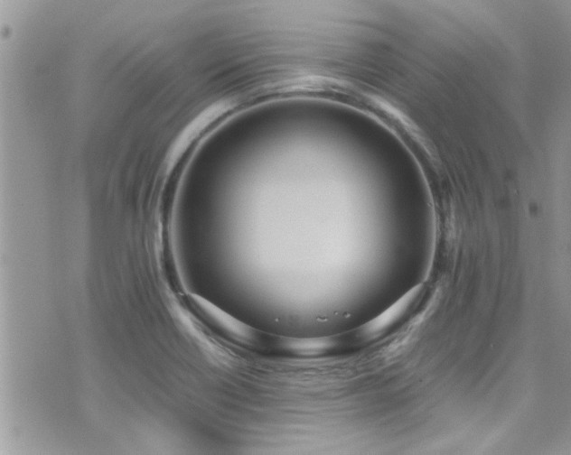 X0000071931418200607071211