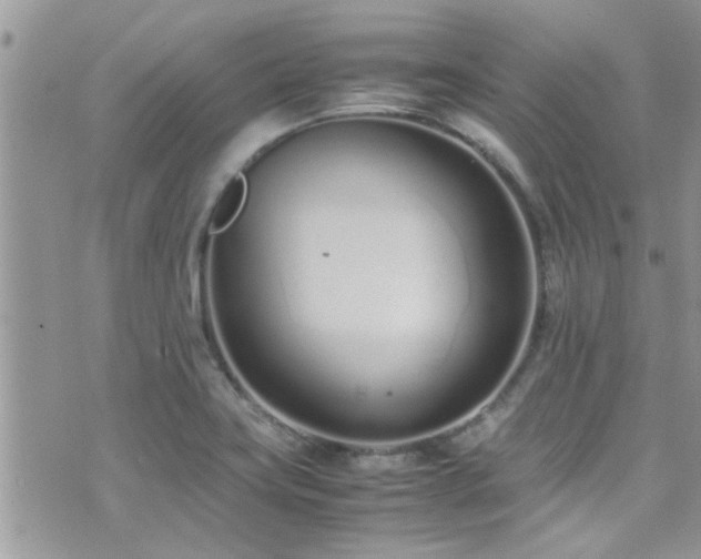 X0000071931419200607071211