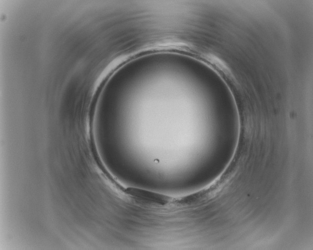 X0000071931420200607071211