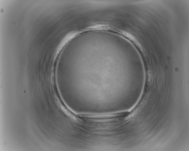 X0000071931421200607071211