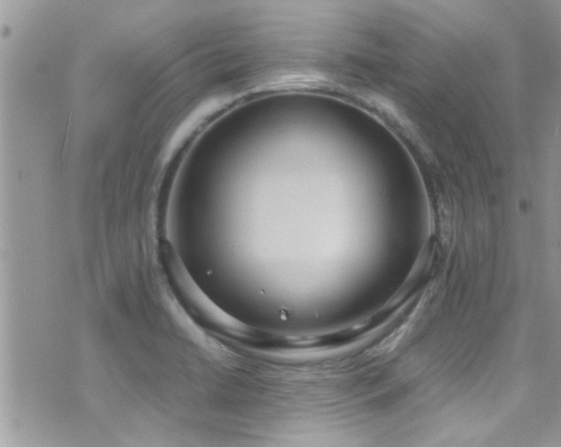 X0000071931422200607071211