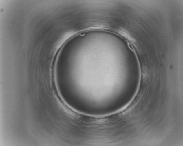 X0000071931423200607071211