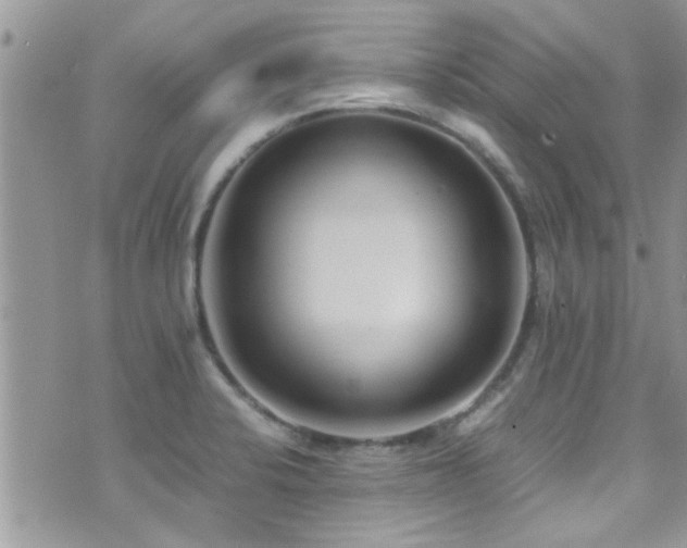 X0000071931424200607071211