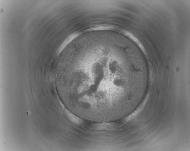 X0000071931425200607071211