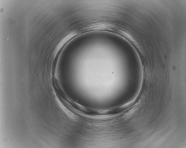 X0000071931426200607071211