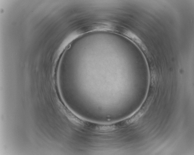 X0000071931427200607071211