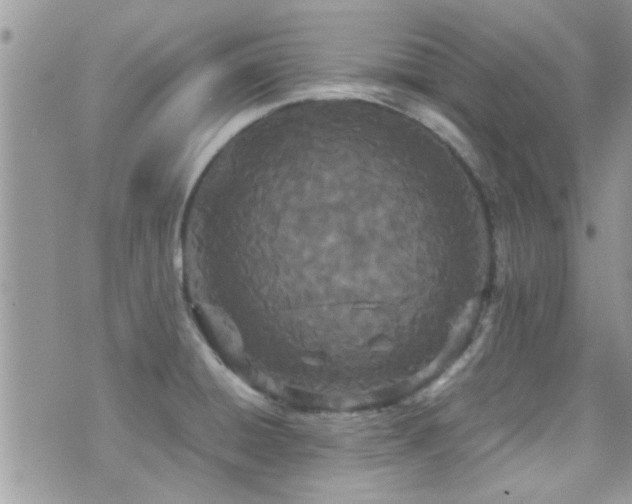 X0000071931428200607071211