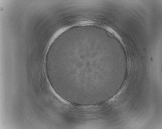 X0000071931429200607071211