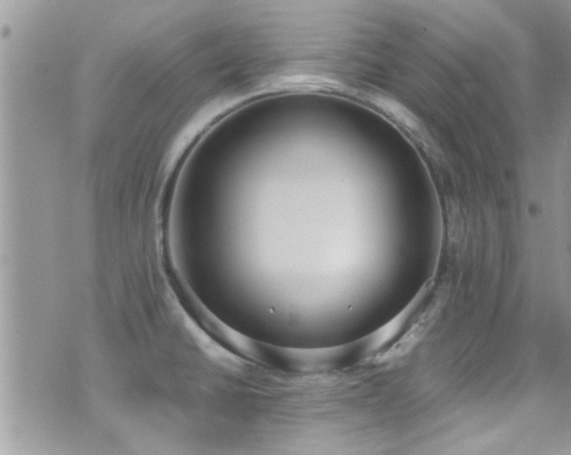 X0000071931430200607071211