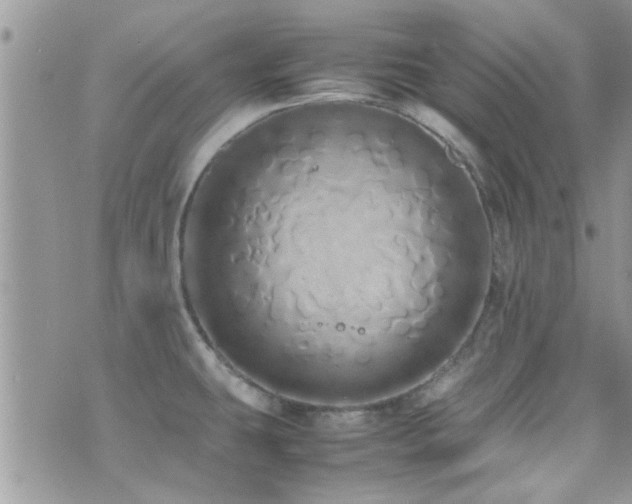 X0000071931431200607071211