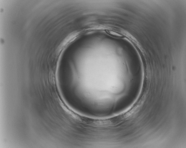 X0000071931433200607071211