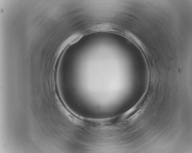 X0000071931434200607071211