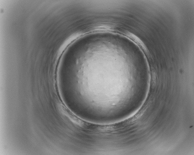 X0000071931435200607071211