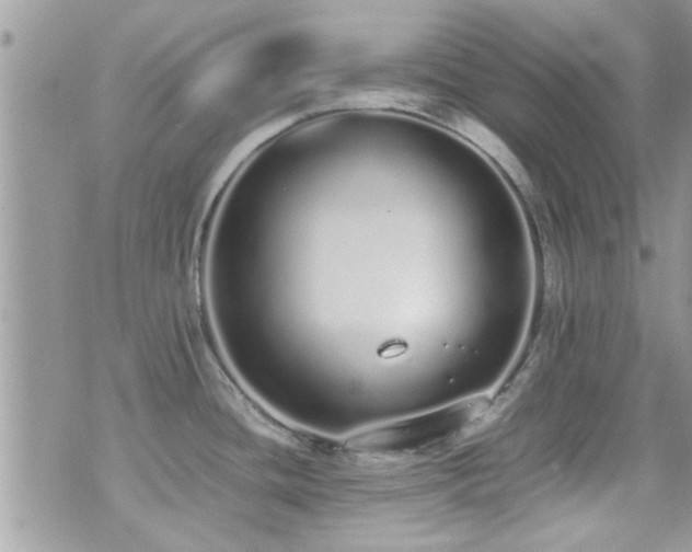 X0000071931436200607071211