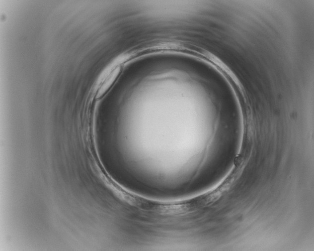 X0000071931437200607071211