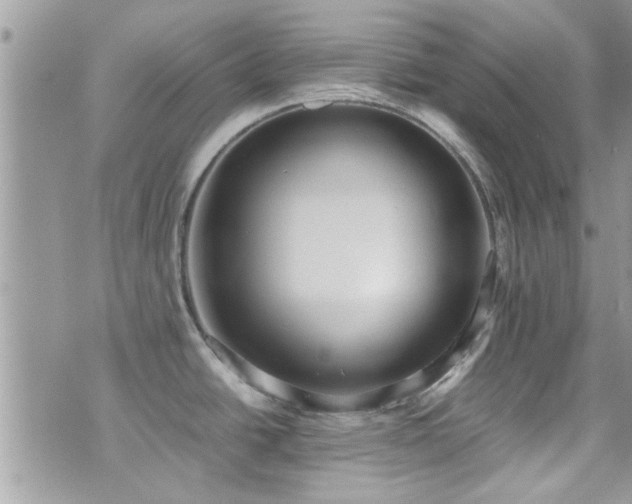 X0000071931438200607071211