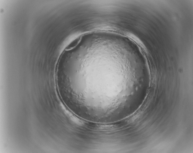 X0000071931439200607071211