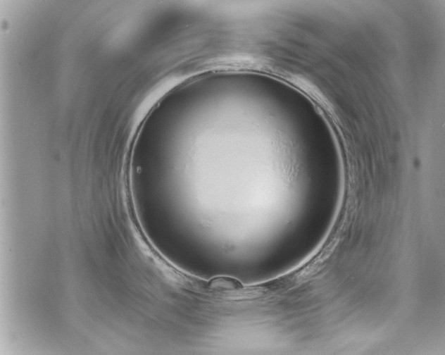 X0000071931440200607071211