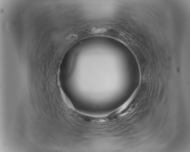 X0000071931441200607071211