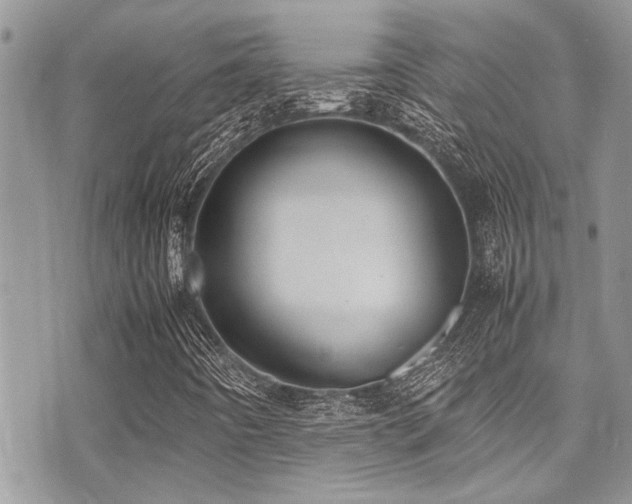 X0000071931442200607071211