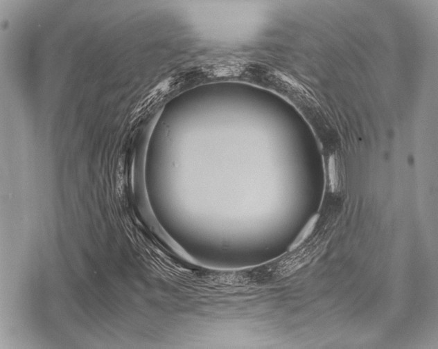 X0000071931443200607071211