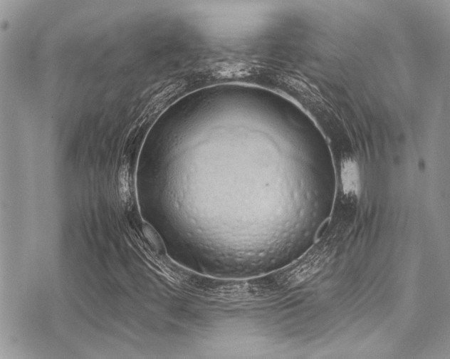 X0000071931444200607071211