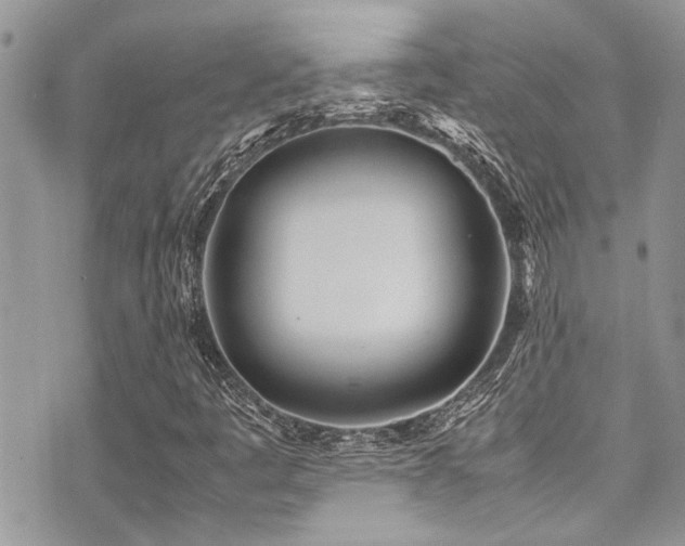 X0000071931445200607071211