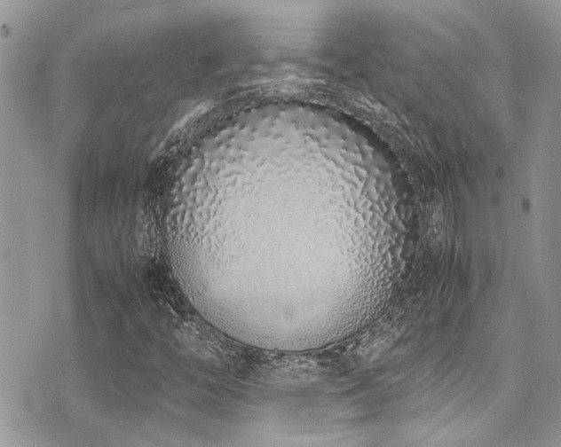 X0000071931446200607071211