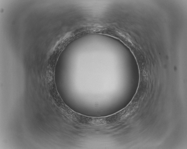 X0000071931447200607071211