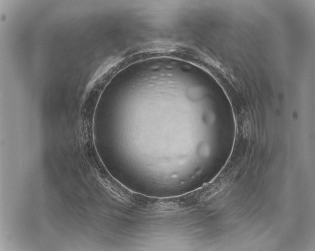 X0000071931448200607071211